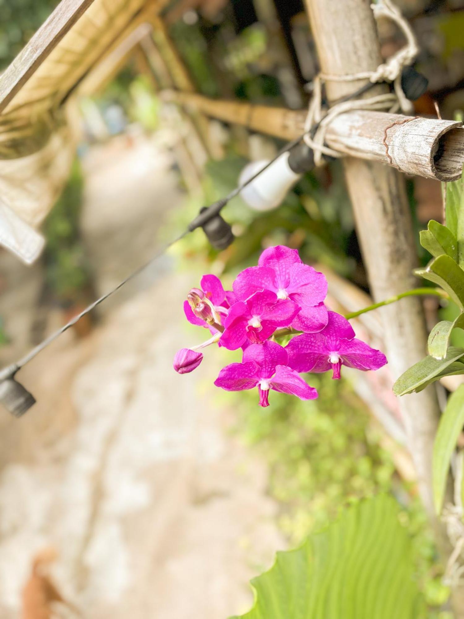 Les Fleurs House Panzió Khaulak Kültér fotó